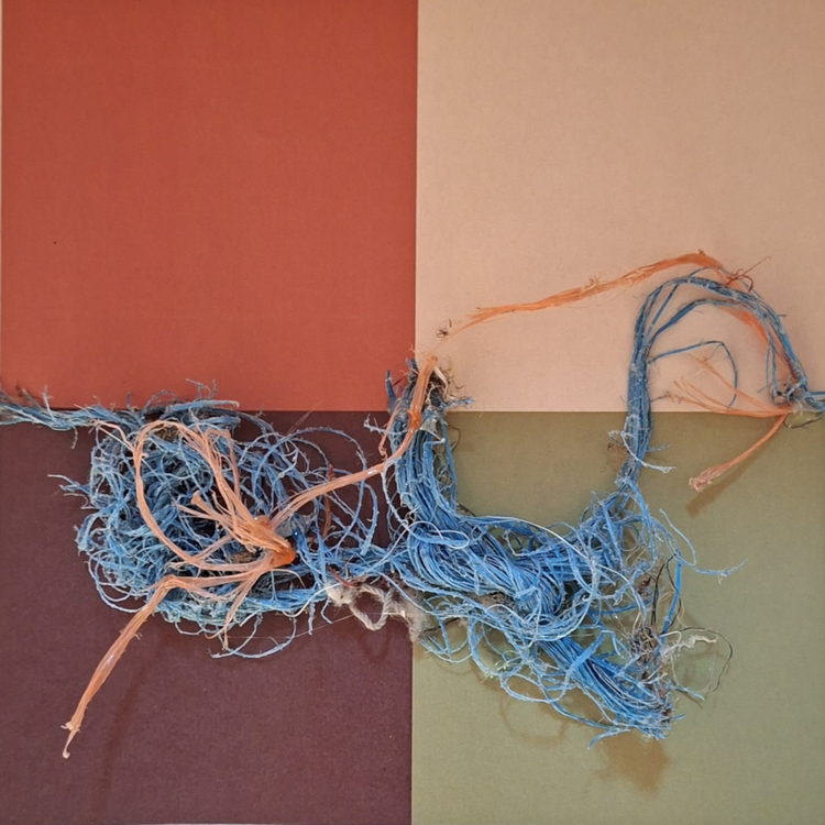 4 Vera Schaub serpentine cords