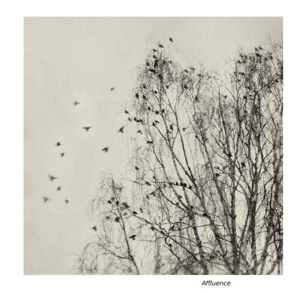 Affluence